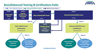 Coach Training Paths 1 PDF